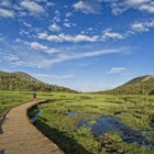 Keri Oberly follows the wooden path leading to the trail, while out for her evening exercise in Lake Tahoe, Nevada.
106795402
boardwalk, cloud, color image, copy space, day, exercising, footpath, full length, healthy lifestyle, horizontal, incline village, lake tahoe, landscape, leisure activity, motion, nevada, on the move, one person, outdoors, photography, rear view, running, scenics, selective focus, swamp, travel, travel destinations, usa, unrecognizable person, vitality, water
Tahoe Meadows Ophir Creek Trailhead