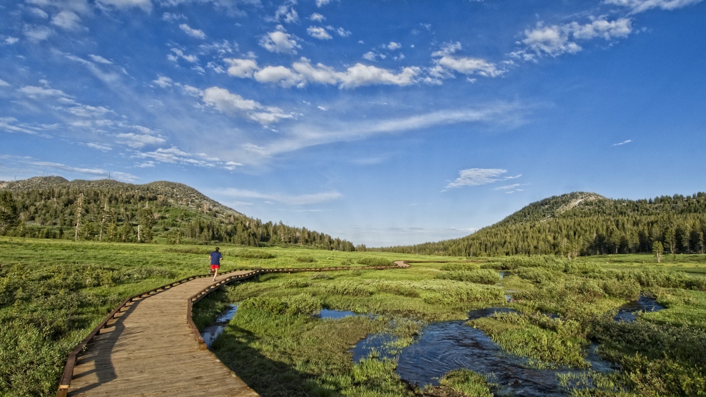 Keri Oberly follows the wooden path leading to the trail, while out for her evening exercise in Lake Tahoe, Nevada.
106795402
boardwalk, cloud, color image, copy space, day, exercising, footpath, full length, healthy lifestyle, horizontal, incline village, lake tahoe, landscape, leisure activity, motion, nevada, on the move, one person, outdoors, photography, rear view, running, scenics, selective focus, swamp, travel, travel destinations, usa, unrecognizable person, vitality, water
Tahoe Meadows Ophir Creek Trailhead