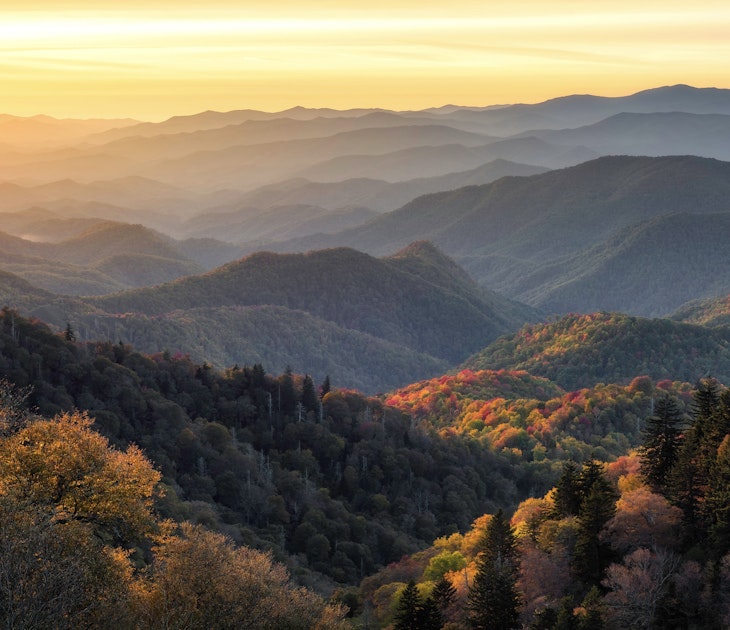 Dramatic evening light looking out across the Great Smoky Mountains from along the Blue Ridge Parkway in North Carolina
2148953005
amazing,  appalachian,  autumn,  beaming,  cherokee,  clouds,  creation,  epic,  expansive,  fall,  glow,  god,  land,  landscape,  layers,  light,  mountains,  nature,  panoramic,  parkway,  peaks,  rays,  ridges,  scenery,  scenic,  sky,  smokies,  sun,  sunrise,  sunset,  tennessee,  valley,  vast,  view,  vista,  all encompassing,  blue ridge,  no people,  north carolina,  smoky mountains,  Fir,  Land,  Mountain,  Mountain Range,  Nature,  Outdoors,  Scenery,  Sky,  Tree,  Vegetation,  Wilderness,  Woodland
Dramatic evening light looking out across the Great Smoky Mountains from along the Blue Ridge Parkway in North Carolina