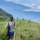 Chiang mai Thailand NOV 7 2015: Tourist arrivals unidentified walk see beautiful view at Kew Mae Pan Natural trail. This is an educative natural trail, which covers approximately three kilometers.; Shutterstock ID 350478224; purchase_order: 65050 - Digital Destinations and Articles; job: Lonely Planet Online Editorial; client: Best hikes in Thailand; other: Brian Healy
350478224
asia, azalea, background, beautiful, blue, bush, chiang, chiangmai, children, cloud, color, colorful, doi, filter, fog, garden, gardening, green, high, highest, inthanon, kew, landscape, lifestyle, mae, mai, mist, morning, mountain, national, natural, nature, outdoor, pan, park, peak, petal, plant, rhododendron, sea, sky, spring, summer, thailand, trail, travel, tree, trekking, view, white
Tourist arrivals unidentified walk see beautiful view at Kew Mae Pan Nature Trail. This is an educative natural trail, which covers approximately three kilometers
