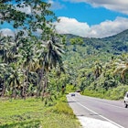 Beuatiful jamaican tropical landscape, green mountains, asphalt road highway, palm trees - Central Jamaica; Shutterstock ID 2267030241; your: Claire N; gl: 65050; netsuite: Online ed; full: Jamaica road trips
2267030241