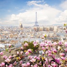 A view of Paris' skyline with the Eiffel Tower prominent in the distance, while a branch of pink tree blossoms dominates the foreground.