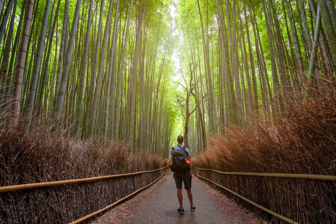 Young tourist enjoying the sunset in Arashiyama Bamboo Forest, one of the most famoust places in Kyoto, Japan